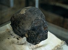 Mummified head of the royal team boss. From the tomb of Nebera.