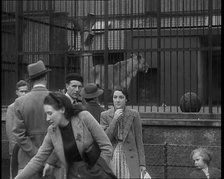 British People at the Zoo, 1940. Creator: British Pathe Ltd.