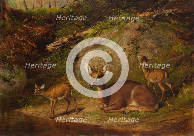 Doe and Two Fawns, 1882. Creator: Arthur Fitzwilliam Tait.