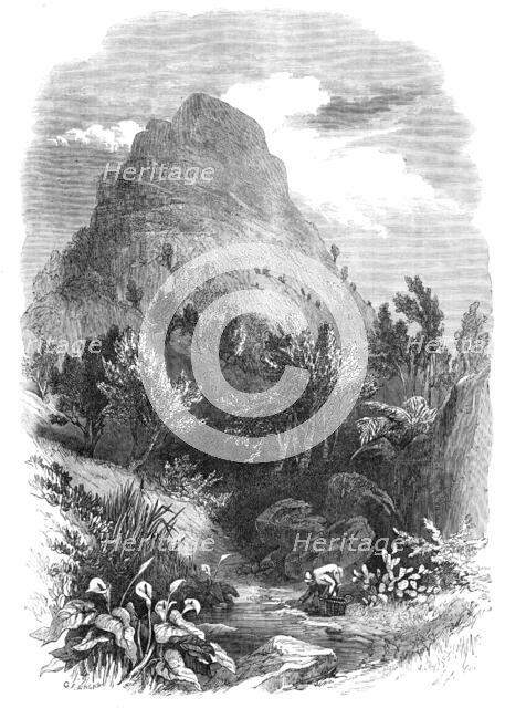 The Lion's Head Mountain, near Capetown, Cape of Good Hope, 1868. Creator: Unknown.