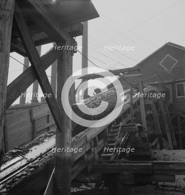 Log chute at Pelican Bay Lumber Company mill, Near Klamath Falls, Oregon, 1939. Creator: Dorothea Lange.