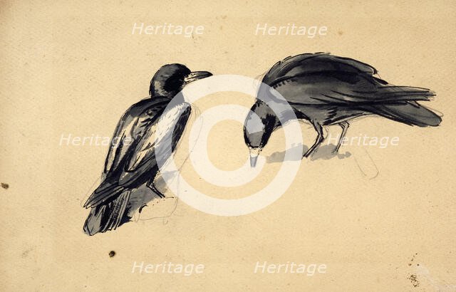 Study of two rooks for 'Christmas Eve 1887', c1887-88. Creator: John Everett Millais.