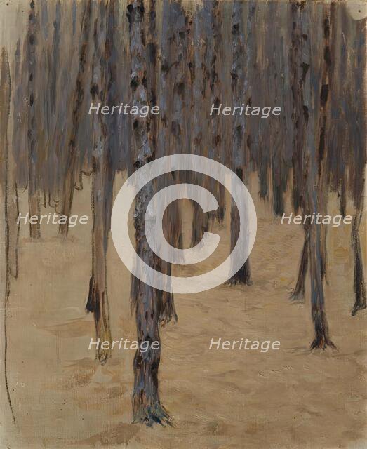 Coniferous forest in the snow, 1908. Creator: Koloman Moser.