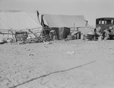 Camp of migratory workers, Imperial County, California, 1937. Creator: Dorothea Lange.