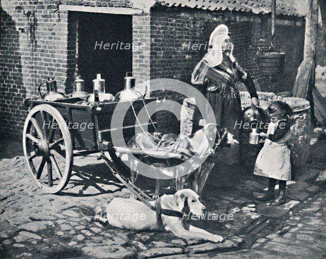 A Belgian peasant woman and her draught dogs, 1912. Artist: Neurdein freres.