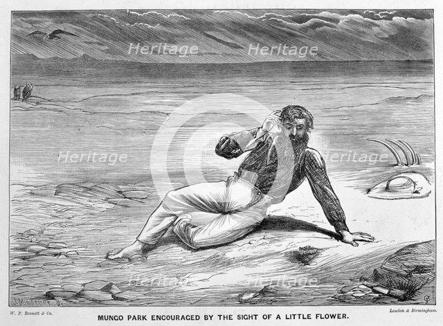 Mungo Park encouraged by the sight of a little flower, (19th century). Artist: JM Corner