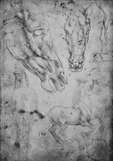 'Studies of Horses and of Horses' Heads', c1480 (1945). Artist: Leonardo da Vinci.