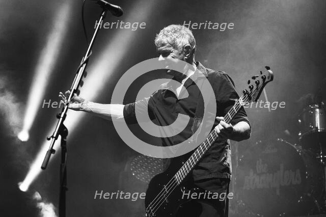 Jean-Jacques Burnel, The Stranglers live at the Royal Albert Hall, Mar 2024. Creator: Annapaola Marchesani.