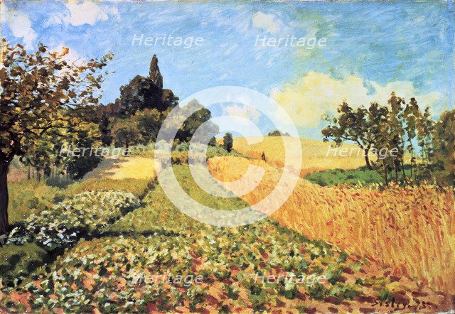  'Wheat Field', oil Painting by Alfred Sisley.