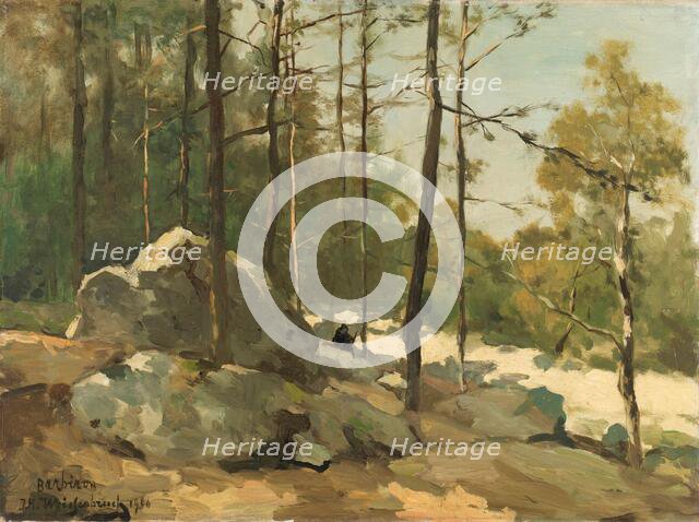 Wooded View near Barbizon, 1900. Creator: Jan Hendrik Weissenbruch.