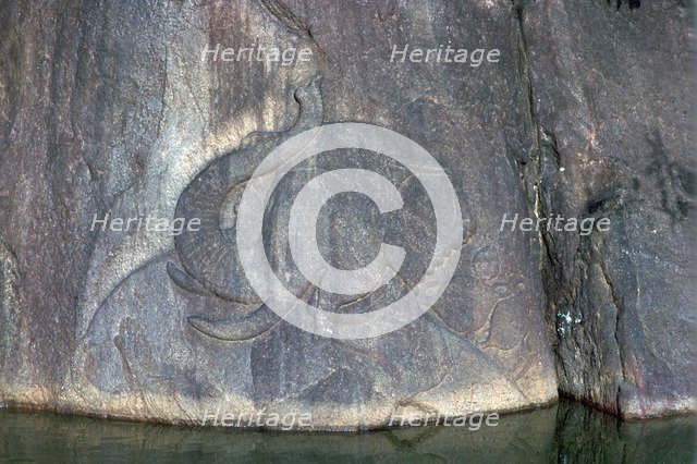 Bathing elephant carved in low relief in a Buddhist shrine. Artist: Unknown