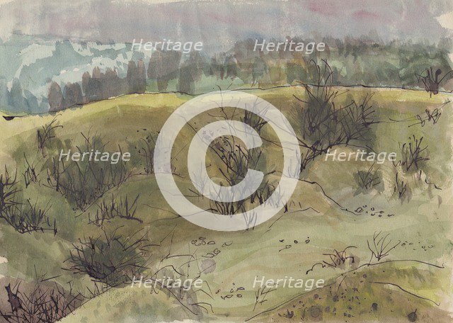 Landscape with bushes, Italy, c1950. Creator: Shirley Markham.