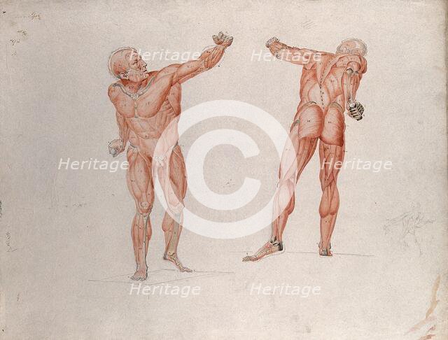 Skeletal and myologic structure of the 'Borghese Gladiator' statue: two figures..., (1833?). Creator: Johann Conrad Zeller.