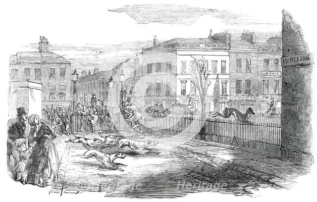 Stag Hunt in the New-Road on Tuesday, 1850. Creator: Unknown.