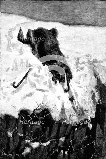 Lost!, drawn by S. Berkley, 1883. Creator: Eugène Froment.