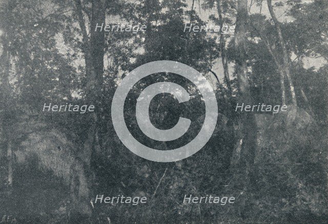 'Cabanas de Indios', 1895. Artist: Francisco Henszler.