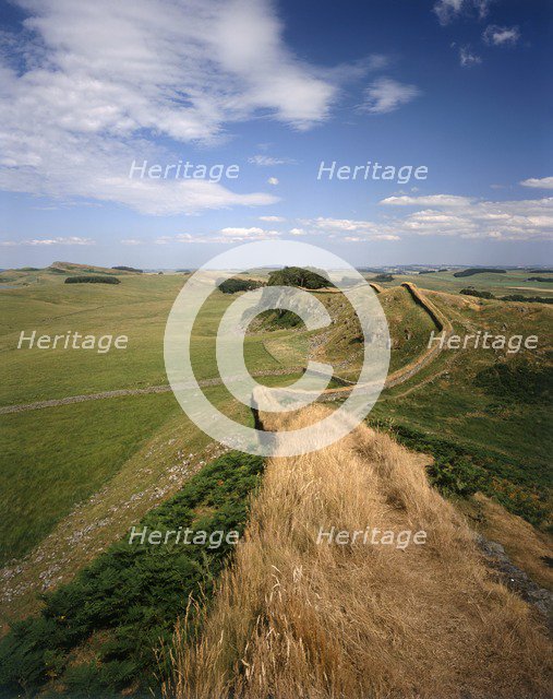 Hadrian's Wall, Northumberland, 2010. Artist: Paul Highnam.