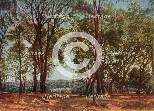 'In the Aricci Park', 1830s, (1965). Creator: Aleksandr Ivanov.