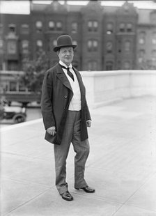 Newlands, Francis Griffith, Rep. from Nevada, 1893-1903; Senator, 1903-1917, 1913. Creator: Harris & Ewing.