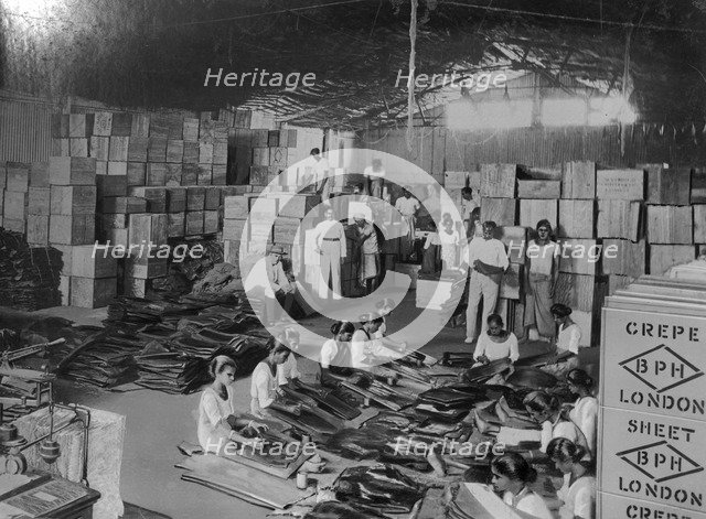 Coconut production, India, 20th century. Artist: Unknown