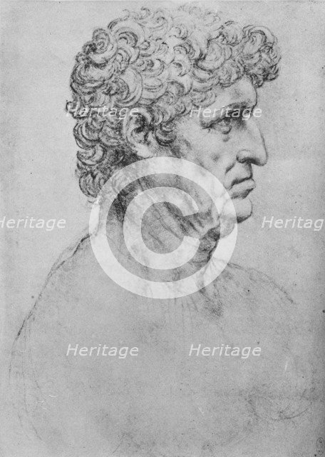 'Profile to the Right of an Elderly Man', c1480 (1945). Artist: Leonardo da Vinci.