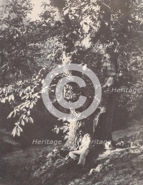 Homme allongé au pied d'un chàtaignier, 1850-53. Creator: Charles Marville.