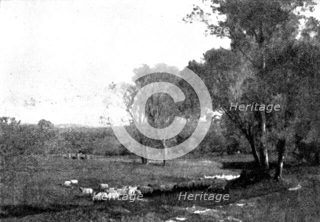 Pictures from the Royal Academy: Midland Meadows - A. East, 1895. Creator: George Meisenbach.