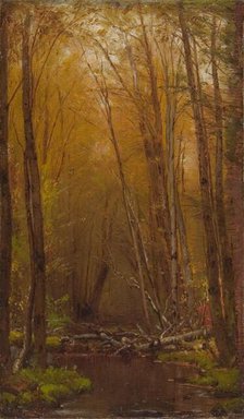The Birches of the Catskills, ca. 1875. Creator: Worthington Whittredge.