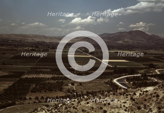Cherry orchards and farming land, Emmett, Idaho, 1941. Creator: Russell Lee.