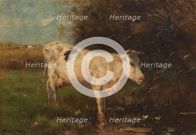 White Cow, c.1880-c.1910. Creator: Willem Maris.
