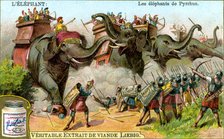 The Elephants of Pyrrhus, c1900. Artist: Unknown