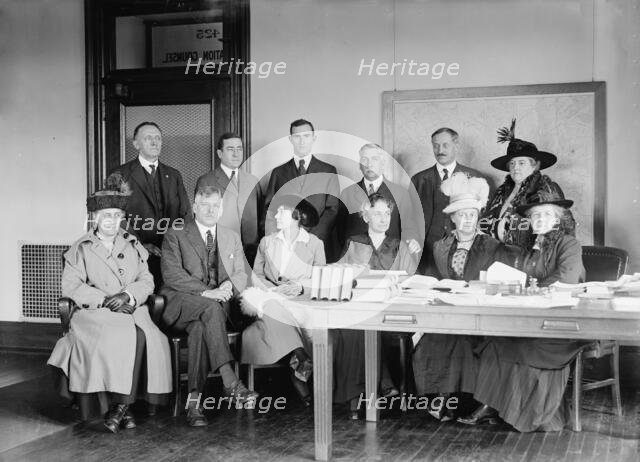 District Public Schools - Board of Directors, Wilson Normal School. Suzie Root Rhodes..., 1918. Creator: Harris & Ewing.