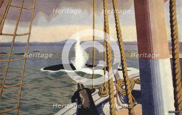 'Whaling in the Antarctic'. Creator: Keith Henderson.