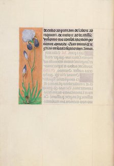 Hours of Queen Isabella the Catholic, Queen of Spain: Fol. 79v, c. 1500. Creator: Master of the First Prayerbook of Maximillian (Flemish, c. 1444-1519); Associates, and.