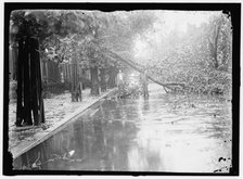 Storm damage, between 1913 and 1918. Creator: Harris & Ewing.