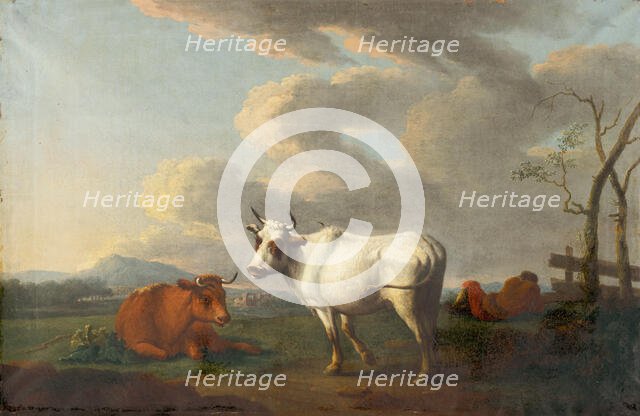 Cow Grazing, 1850-1860. Creator: Unknown.
