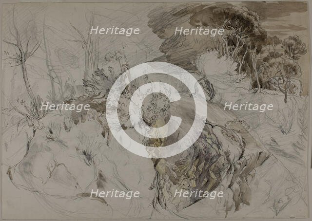Shrubs and Trees in Rocky Landscape, c. 1845. Creator: John Ruskin.