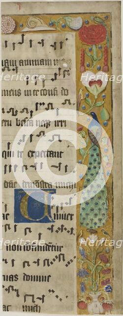 Peacock, Birds, Flowers, Fruit and a Snail in a Decorated Border, with an Illuminated... Creator: Unknown.