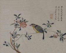 Bird on a Flowering Branch, 19th century. Creator: Unknown.