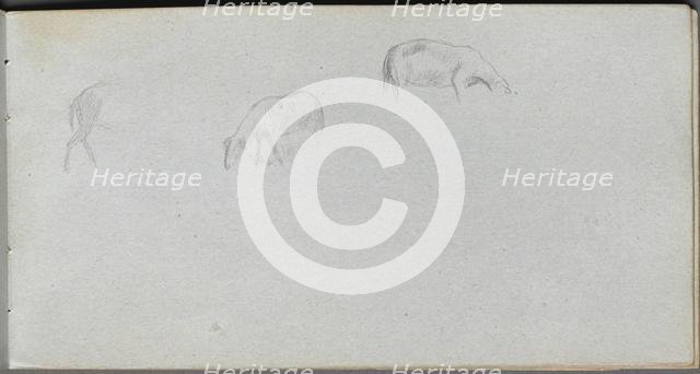 Sketchbook, page 20: Animal Study. Creator: Ernest Meissonier (French, 1815-1891).