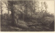 In the Forest (Lisiere de foret). Creator: Alphonse Legros.