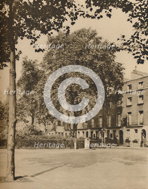 'In Boarding-House Land: The Plane Trees of Torrington Square', c1935. Creator: Donald McLeish.