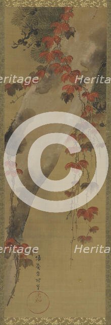 Pine tree and autumn vine, Edo period, late 18th century. Creator: Tawaraya Sori.