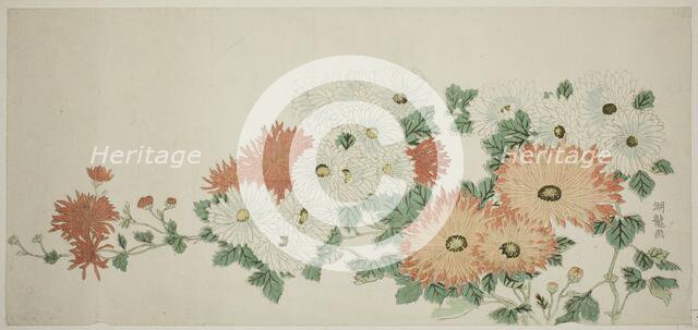 Chrysanthemums, c. 1780. Creator: Isoda Koryusai.