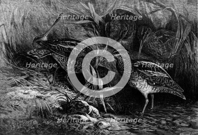 The Months: November, 1871. Creator: Horace Harral.