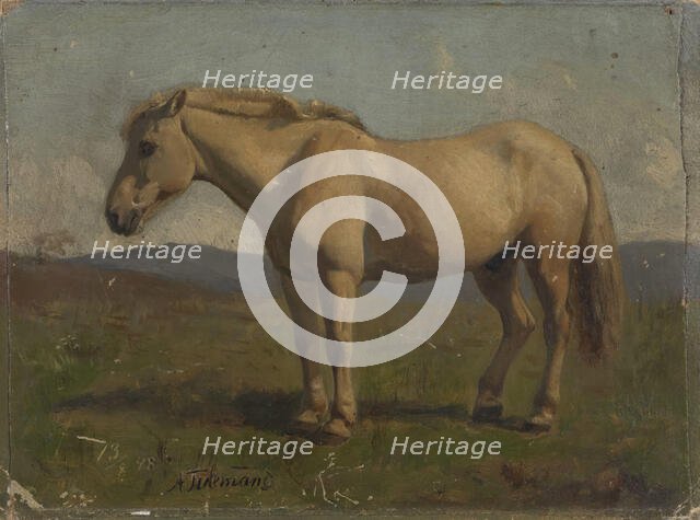 A broken horse, 1848. Creator: Adolph Tidemand.