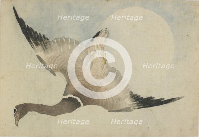 Goose flying in front of the moon, late 18th-early 19th century. Creator: Hokusai.