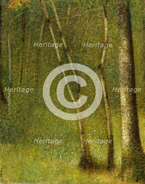 The Forest at Pontaubert, 1881. Creator: Georges-Pierre Seurat.