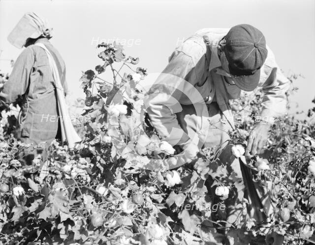 Cotton pickers, Southern San Joaquin Valley, California, 1936. Creator: Dorothea Lange.