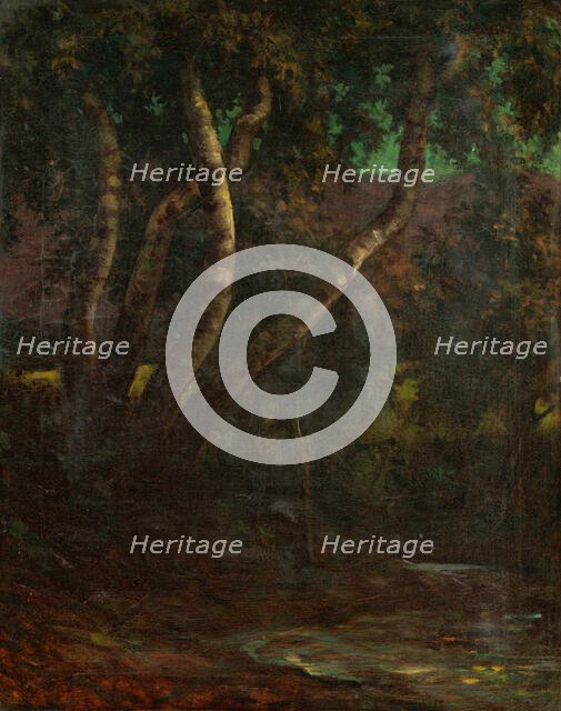 Forest, 1900-1920. Creator: Milan Thomka Mitrovsky.